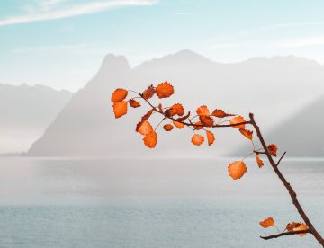 Weather influence - Sagrada Familia Toastmasters